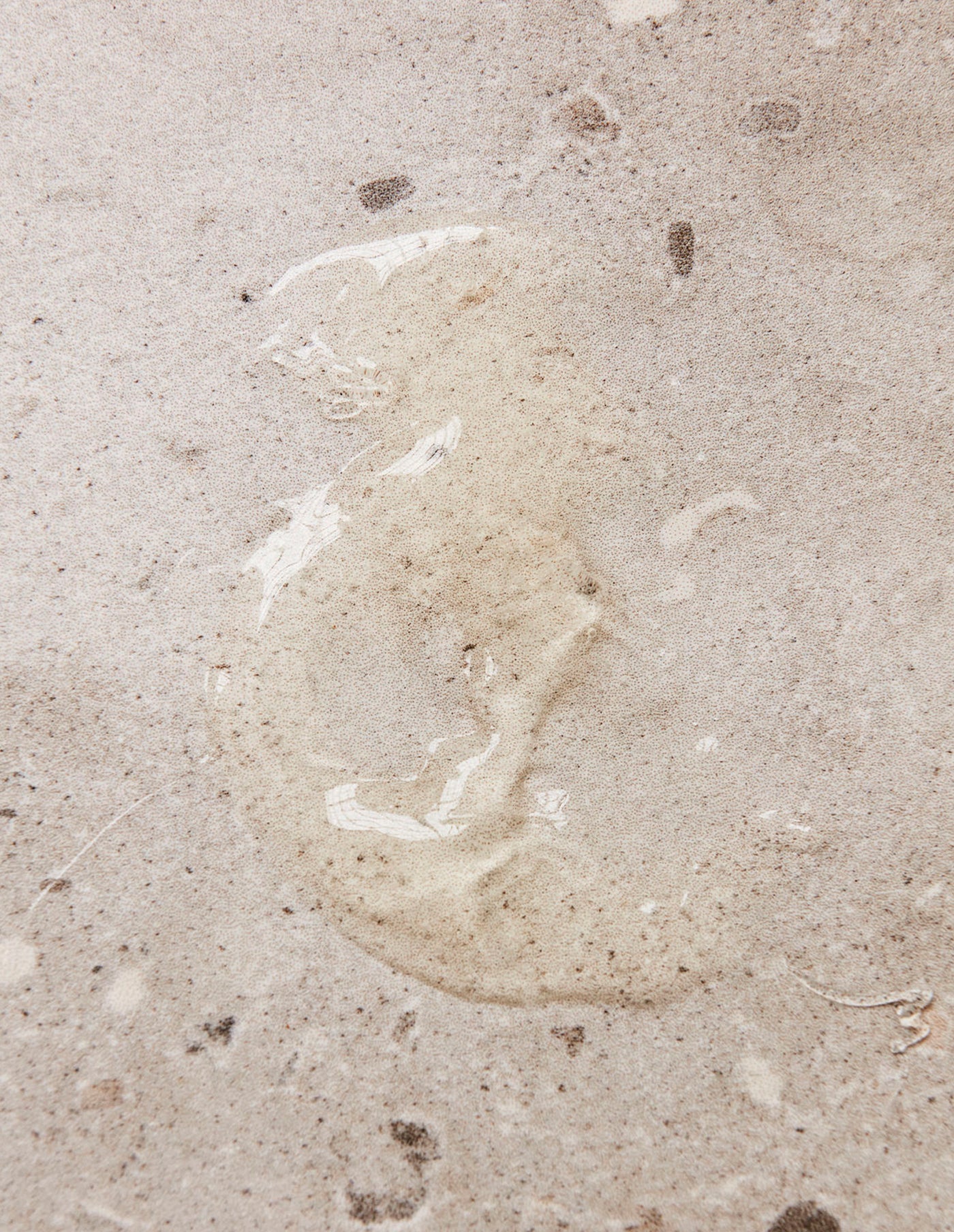 Meadow Bliss Organic Hand Soap, Meraki