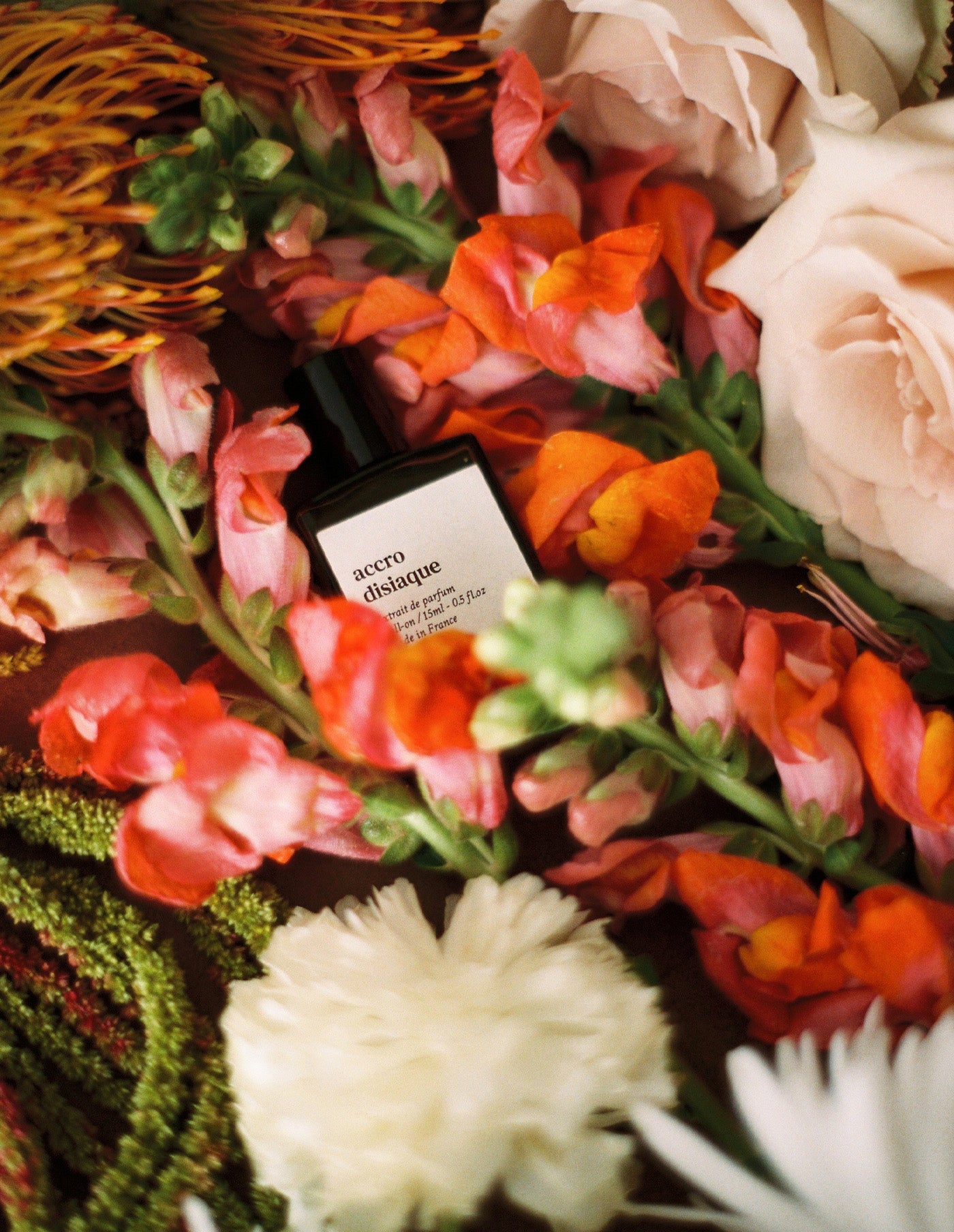 Acro Disiaque Perfume, Versatile Paris