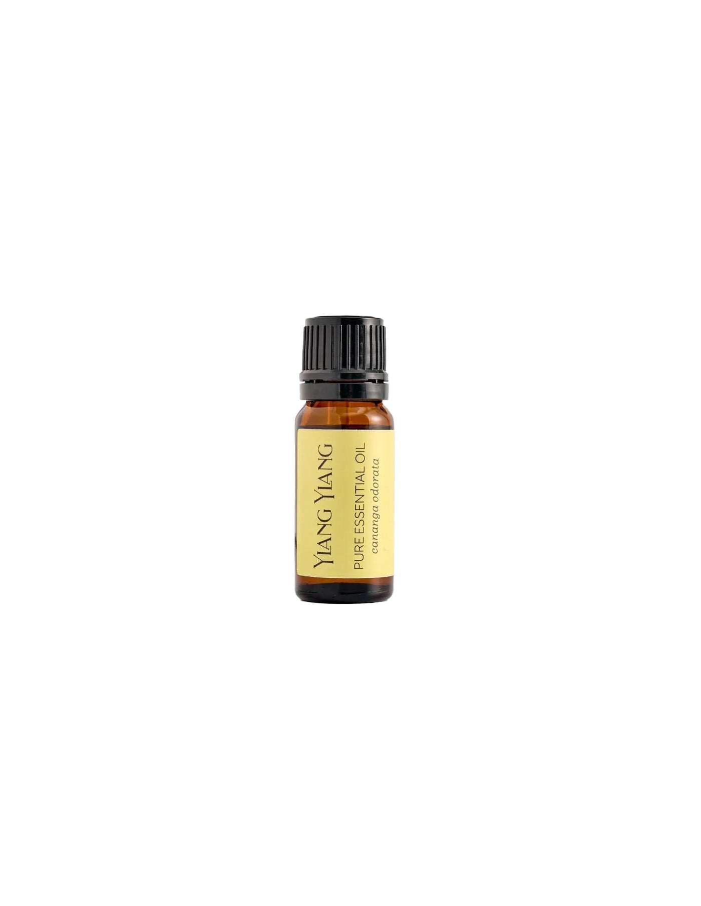 Ylang Ylang Essential Oil, By Life Store