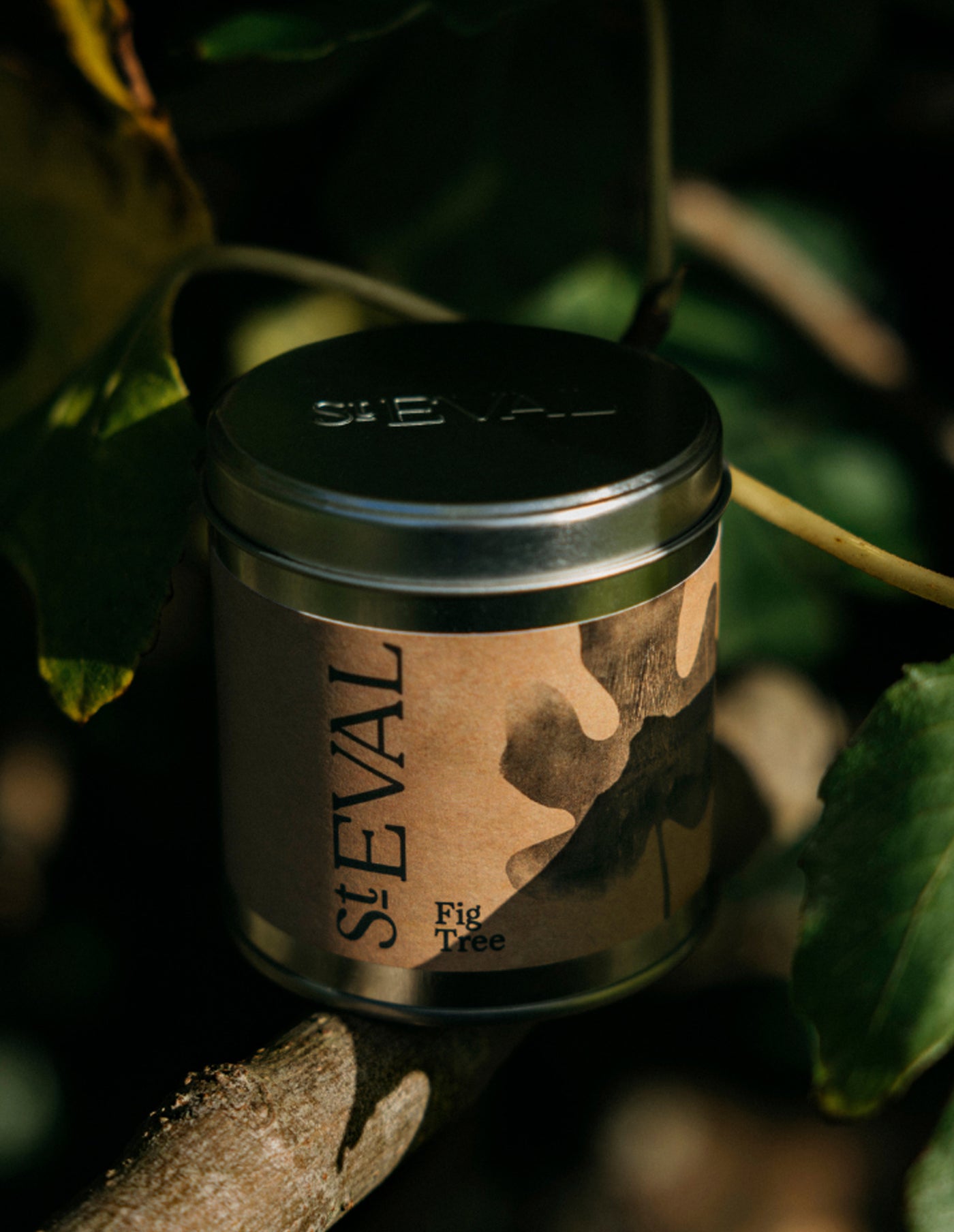 Fig Tree Scented Tin Candle, St Eval