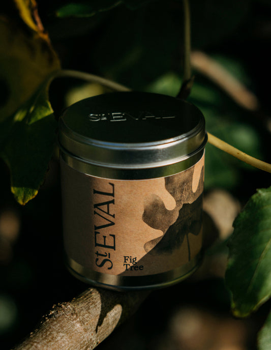 Fig Tree Scented Tin Candle, St Eval