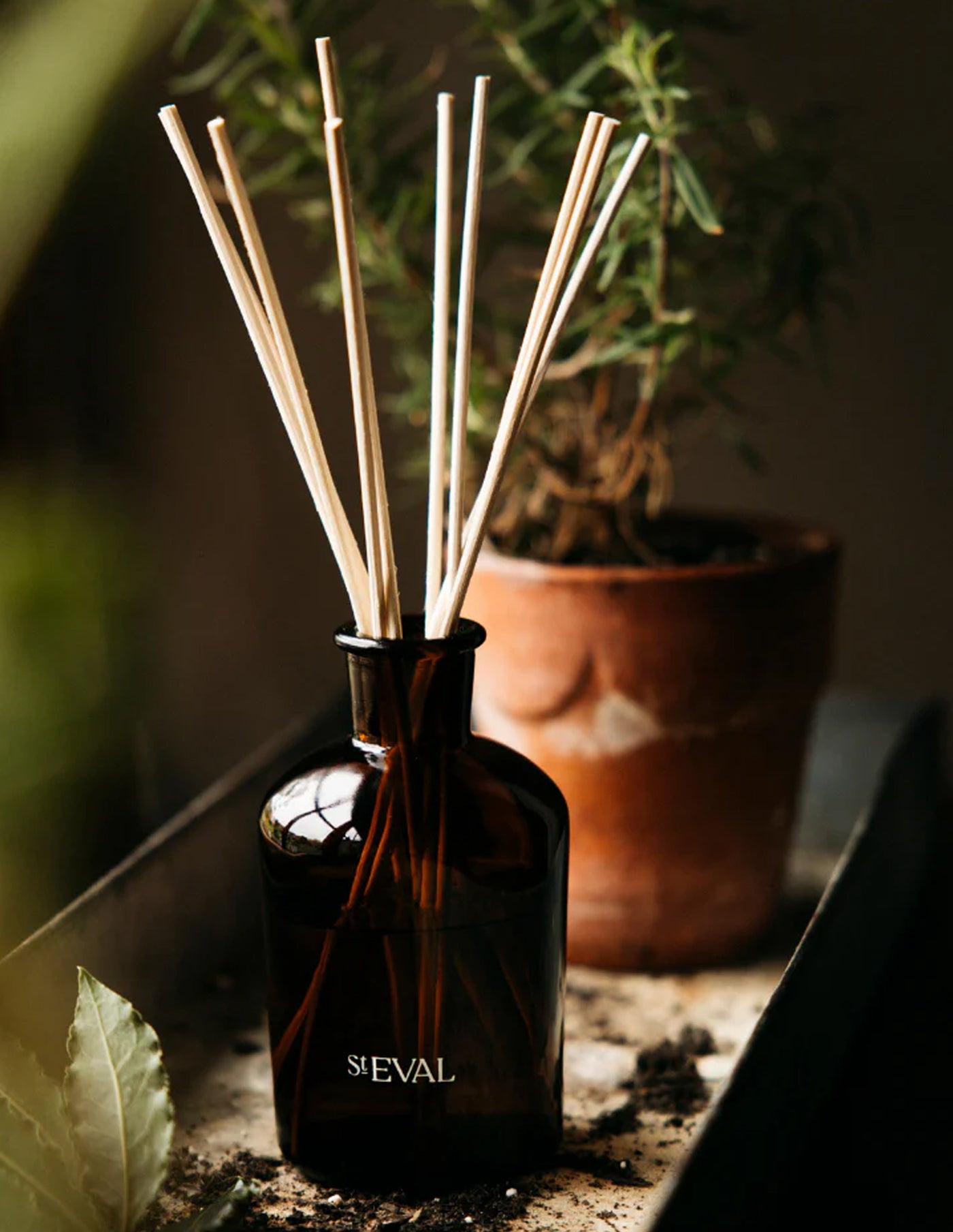 Diffuser with reeds and 'SIEVAL' branding in a natural setting