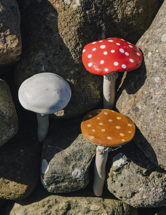 Plant Pot Ceramic Mushrooms, Ferndown Ceramics