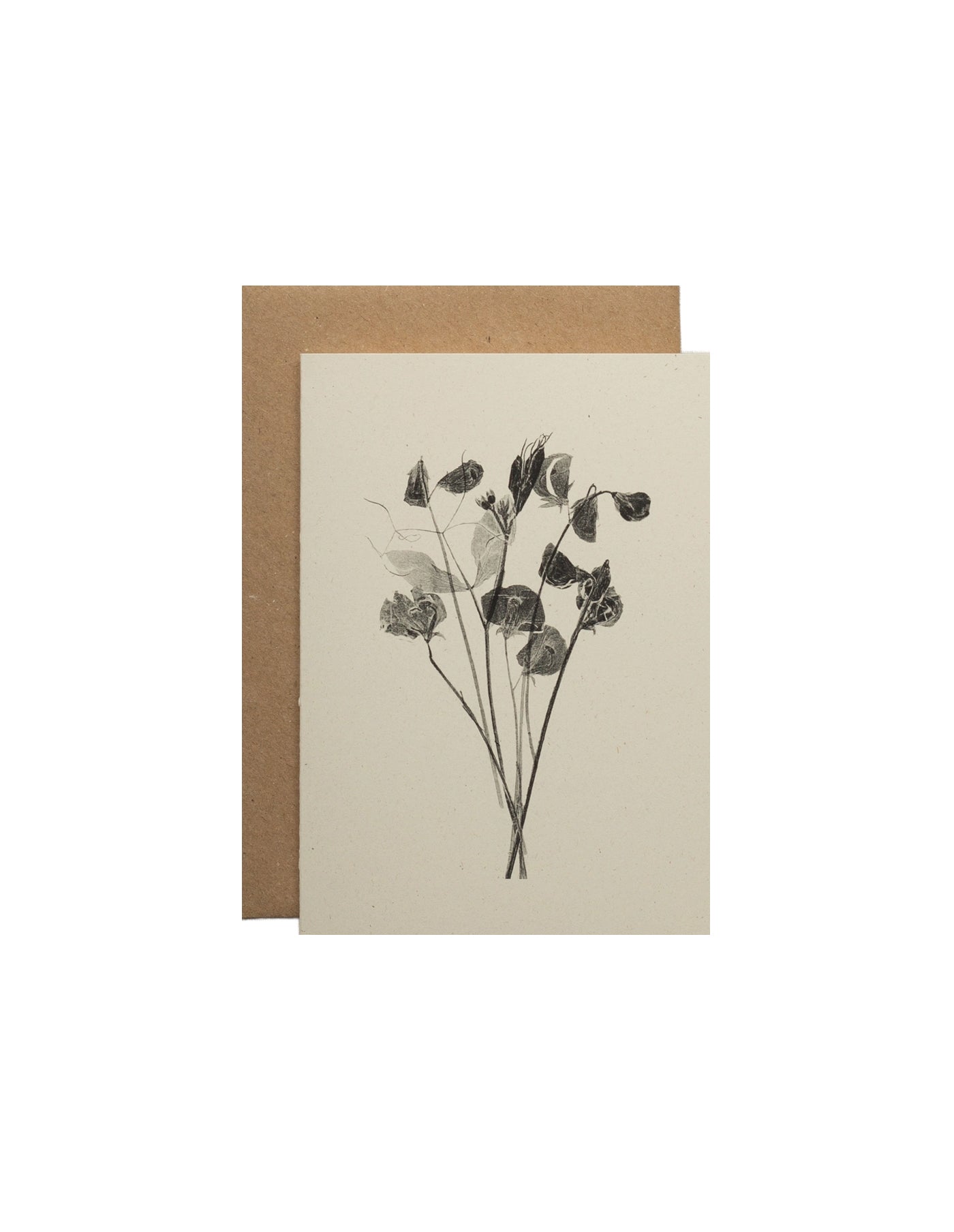 Sweet Peas Flower Greeting Card, Alicia Breakspear
