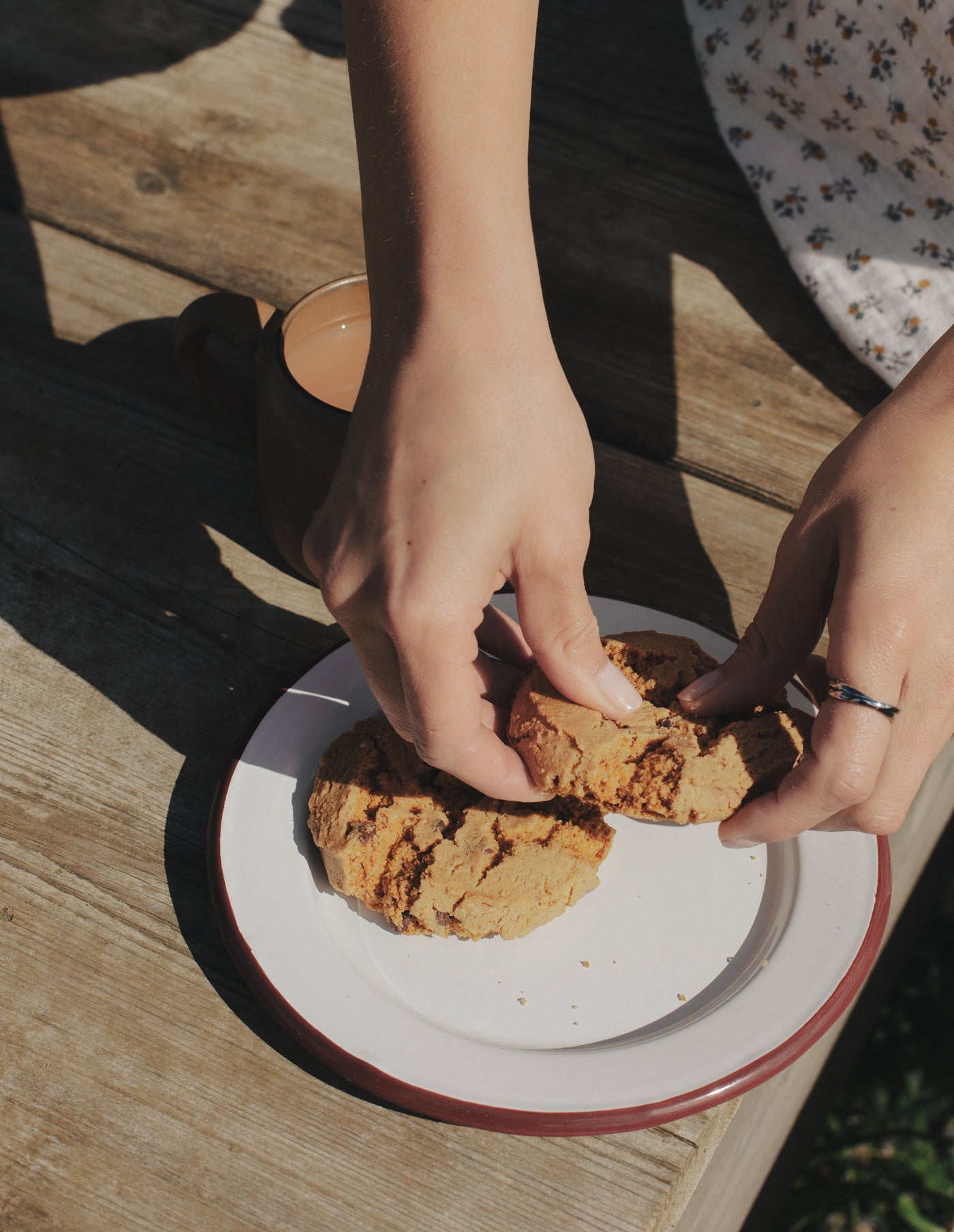 Burgundy Red Rimmed Enamel Side Plate, 20cm