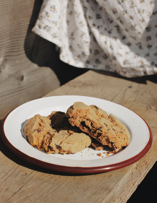 Burgundy Red Rimmed Enamel Side Plate, 20cm