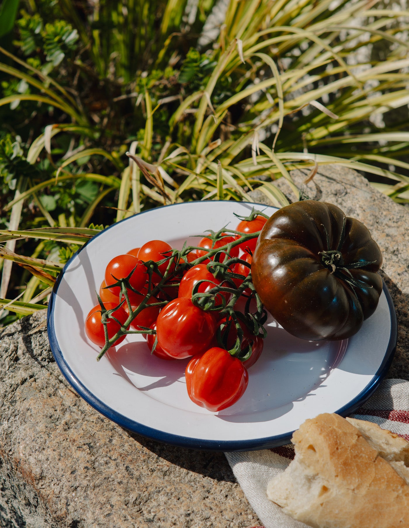 Navy Rimmed Enamel Side Plate, 20cm