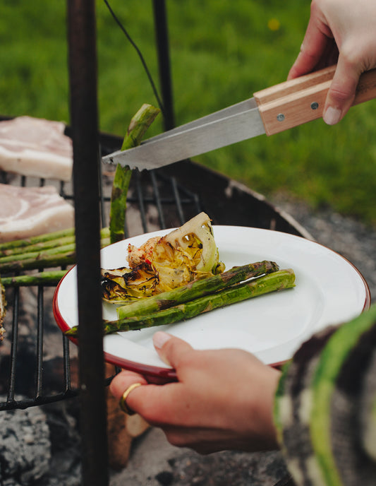 Burgundy Red Rimmed Enamel Dinner Plate, 25cm