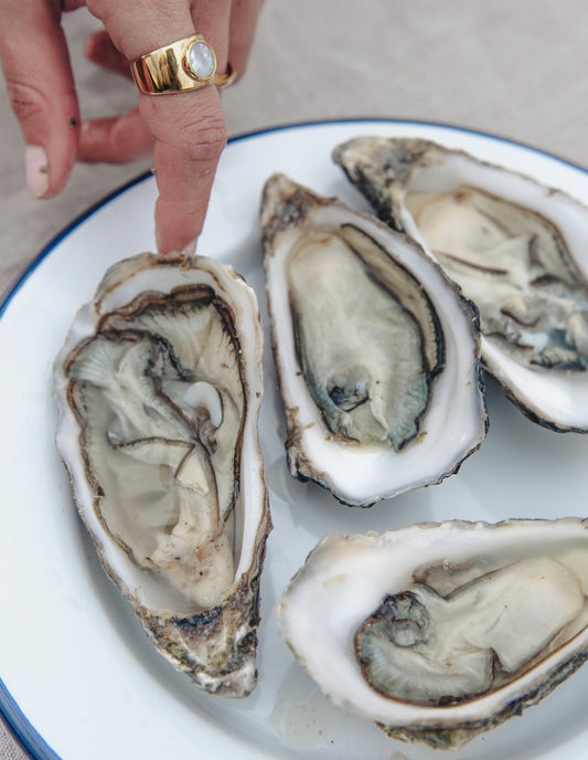 Navy Rimmed Enamel Dinner Plate, 25cm