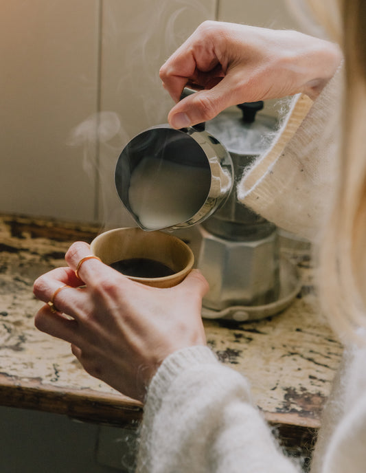 Stainless Steel Milk Jug