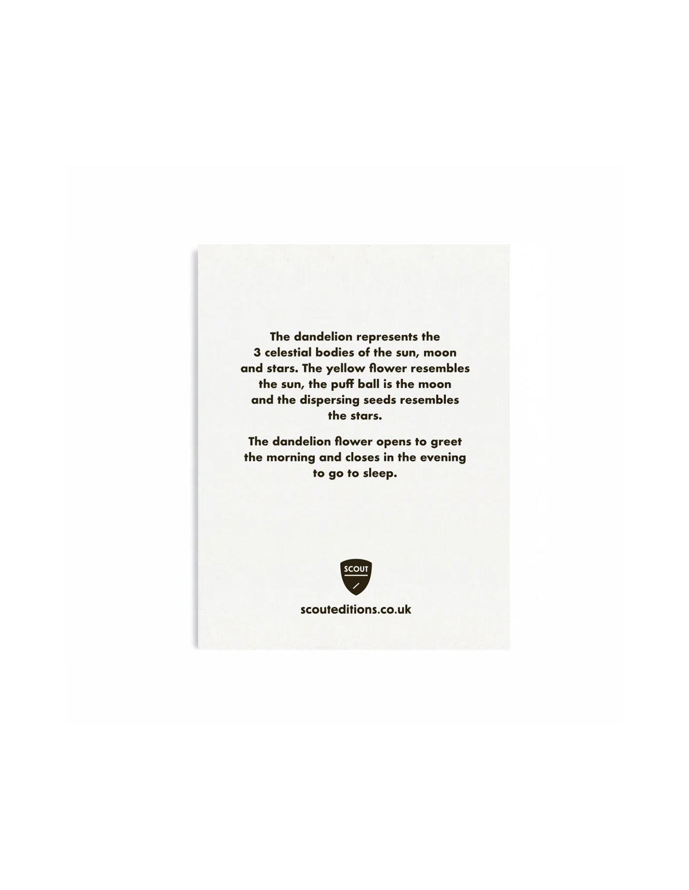 Dandelion Mini Greeting Card, Scout Editions