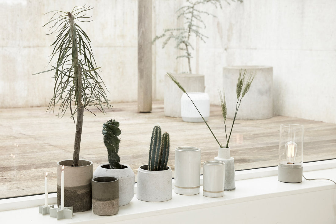 Plant Pot Journal