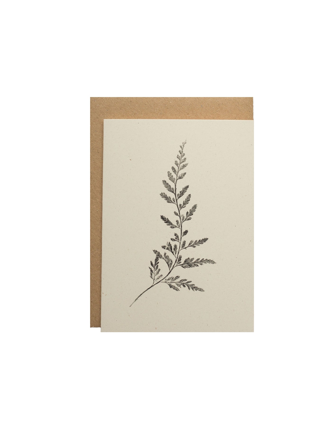 Fern Greeting Card, Alicia Breakspear