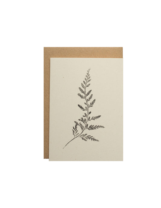 Fern Greeting Card, Alicia Breakspear