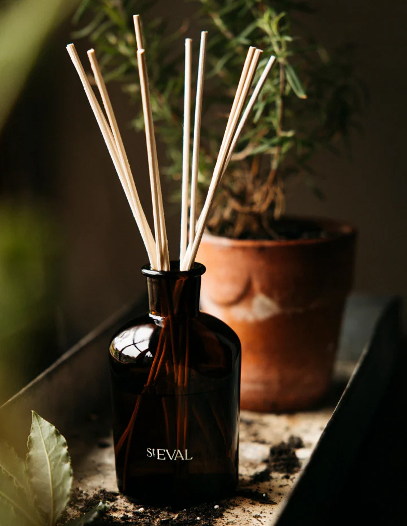 Diffuser with reeds and 'SLEVAL' branding in a natural setting