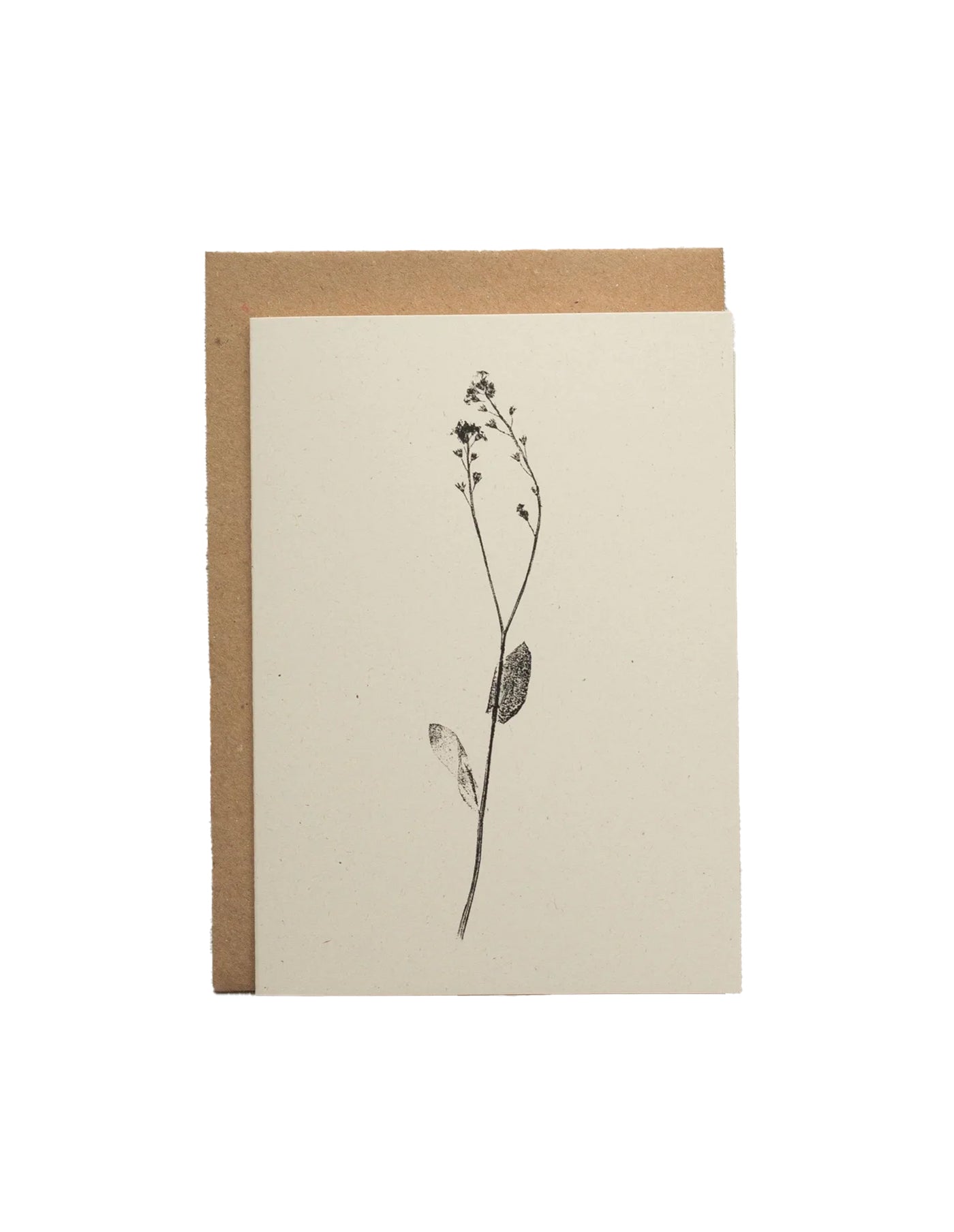 Forget-me-nots Flower Greeting Card, Alicia Breakspear