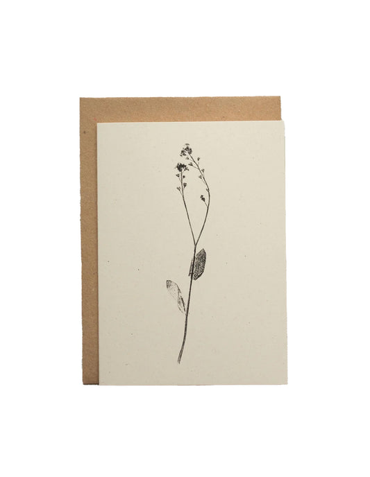 Forget-me-nots Flower Greeting Card, Alicia Breakspear