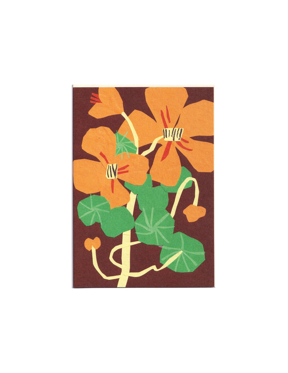 Nasturtiums Greeting Card, Cait McEniff