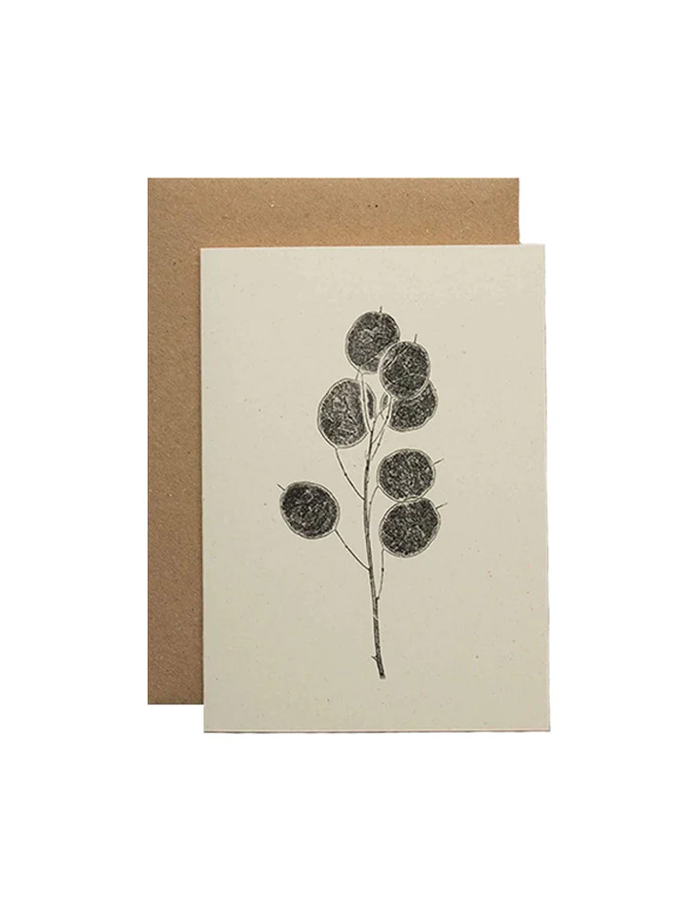 Honesty Pods Floral Greeting Card, Alicia Breakspear