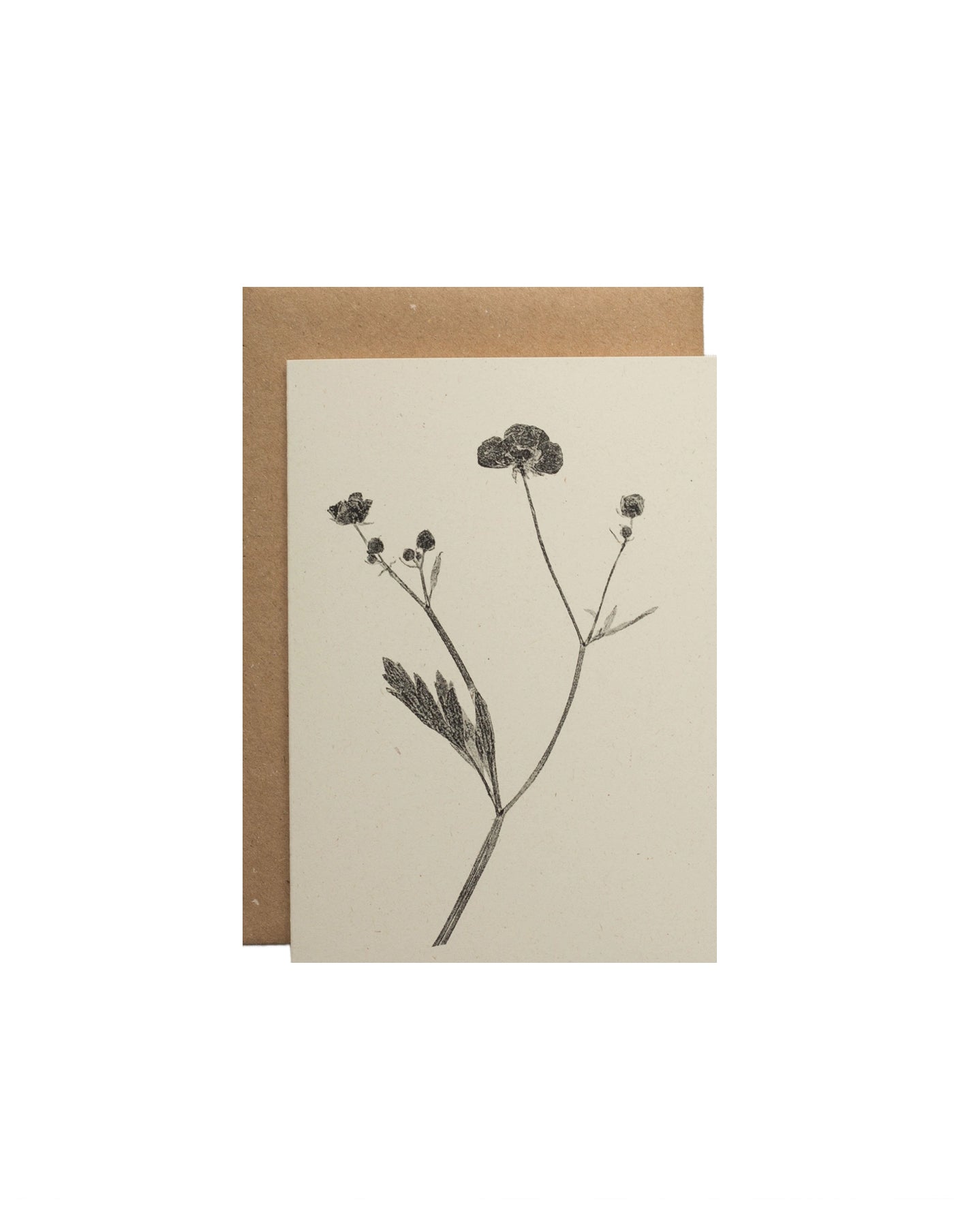 Meadow Buttercup Flower Greeting Card, Alicia Breakspear