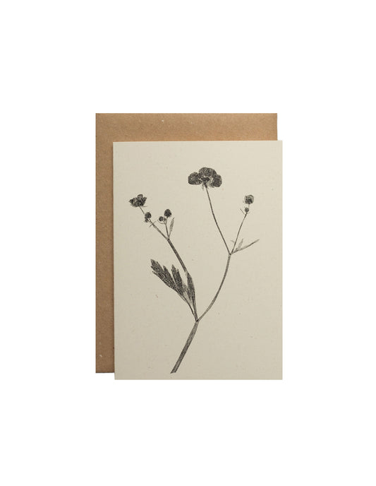 Meadow Buttercup Flower Greeting Card, Alicia Breakspear