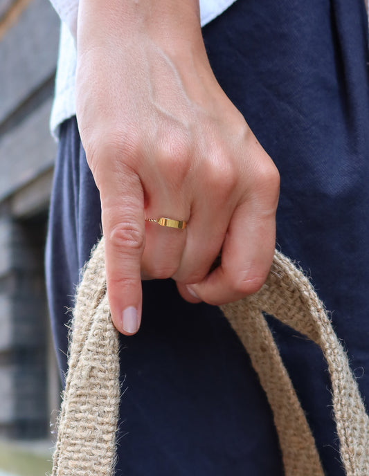 Gold Delicate Plaque Ring, Tarnish-Free Gold Plating