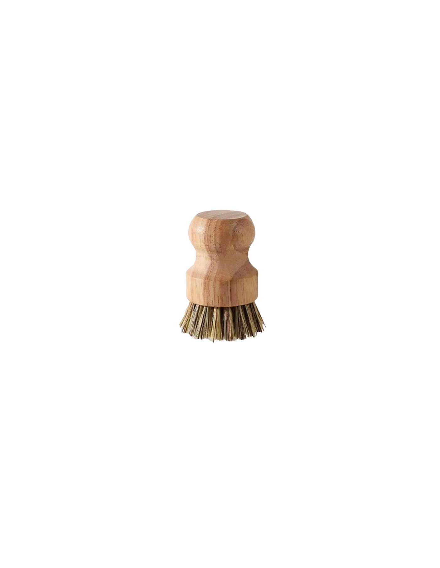 Wood and Palm Dish Brush, Fodory