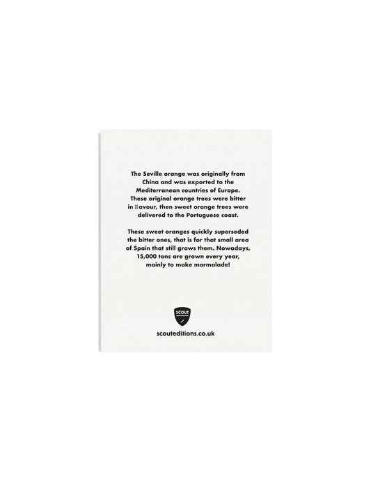 Seville Oranges Mini Greeting Card, Scout Editions