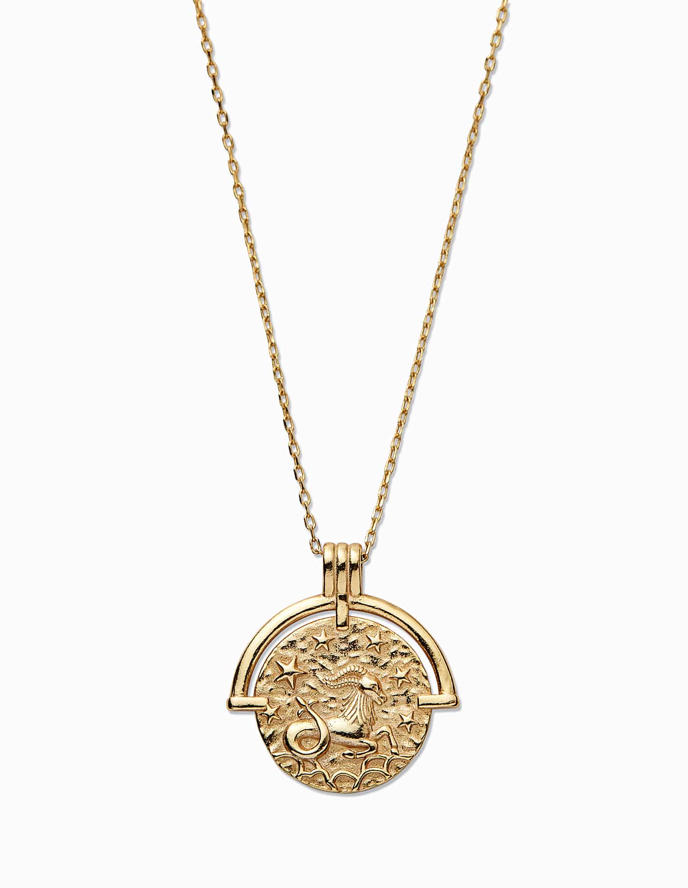 Gold Capricorn Stainless Steel Zodiac Sign Necklace Vertical