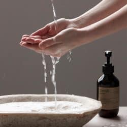Northern Dawn Organic Hand Soap, Meraki