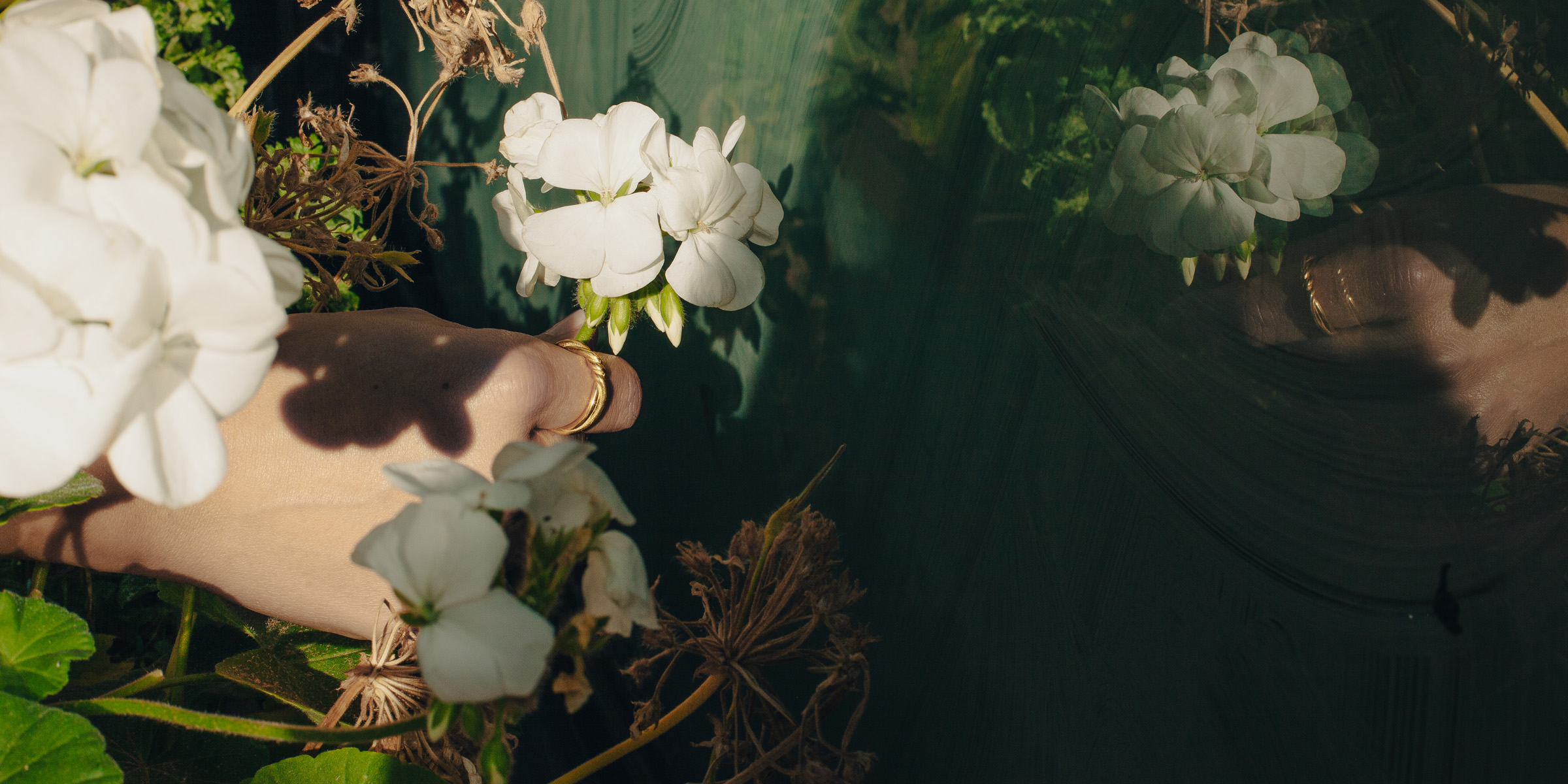 Hand with ring holding flower