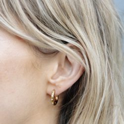 Gold Small Stone Embossed Hoop Earrings, Tarnish-Free Gold Plating