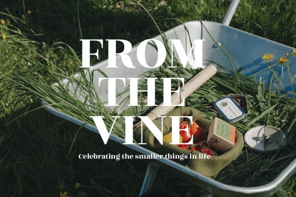 From the Vine