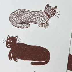 Three Cat's Greeting Card, Hot Pink Press