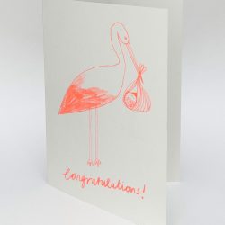 New Baby Stork Greeting Card, Hot Pink Press