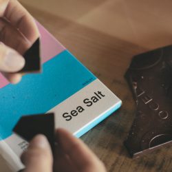 Sea Salt Dark Chocolate, Ocelot