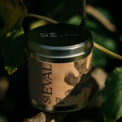 Fig Tree Scented Tin Candle, St Eval