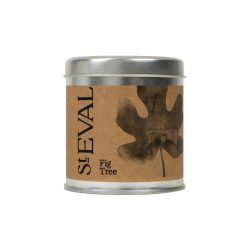 Fig Tree Scented Tin Candle, St Eval