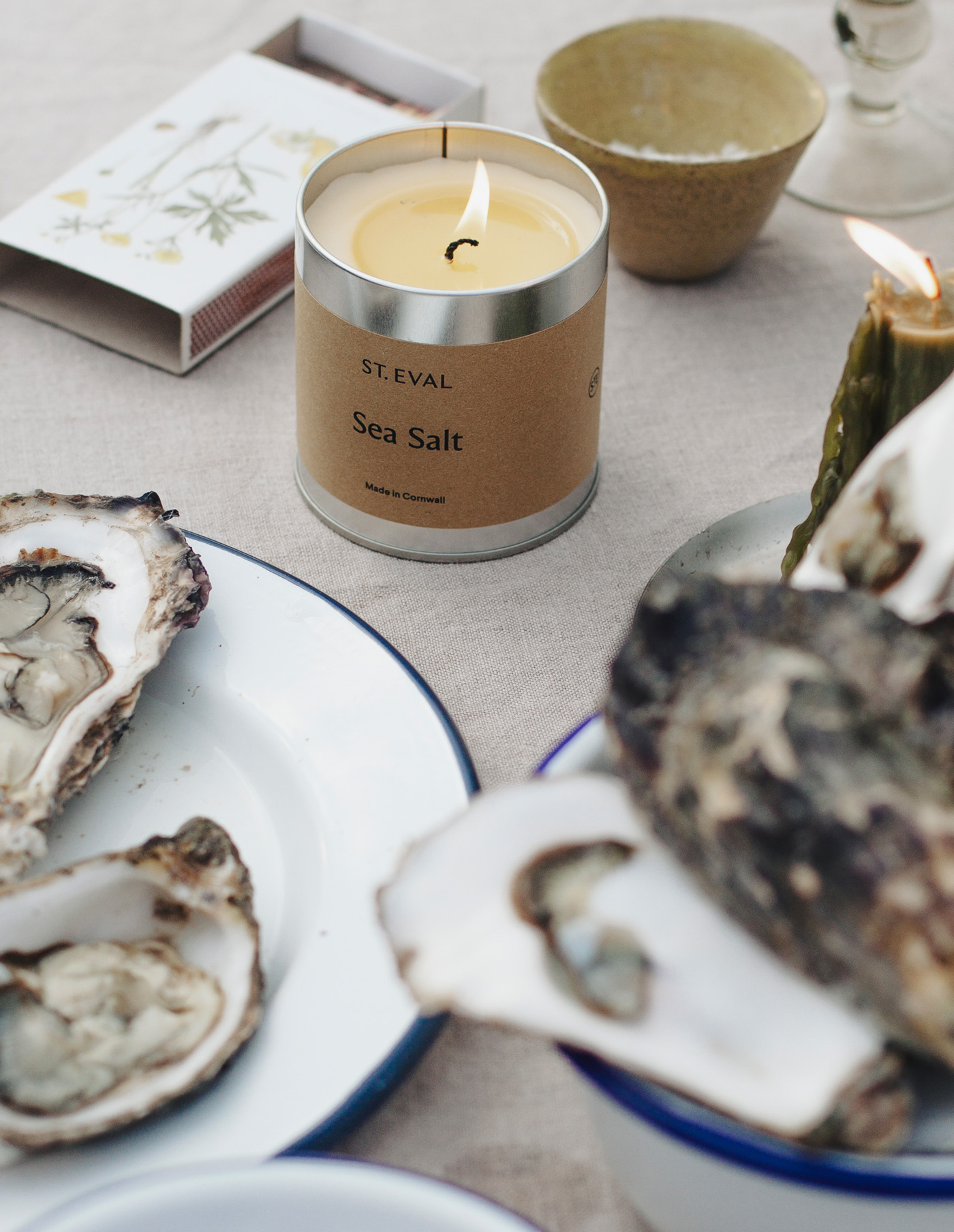Oyster Reverie