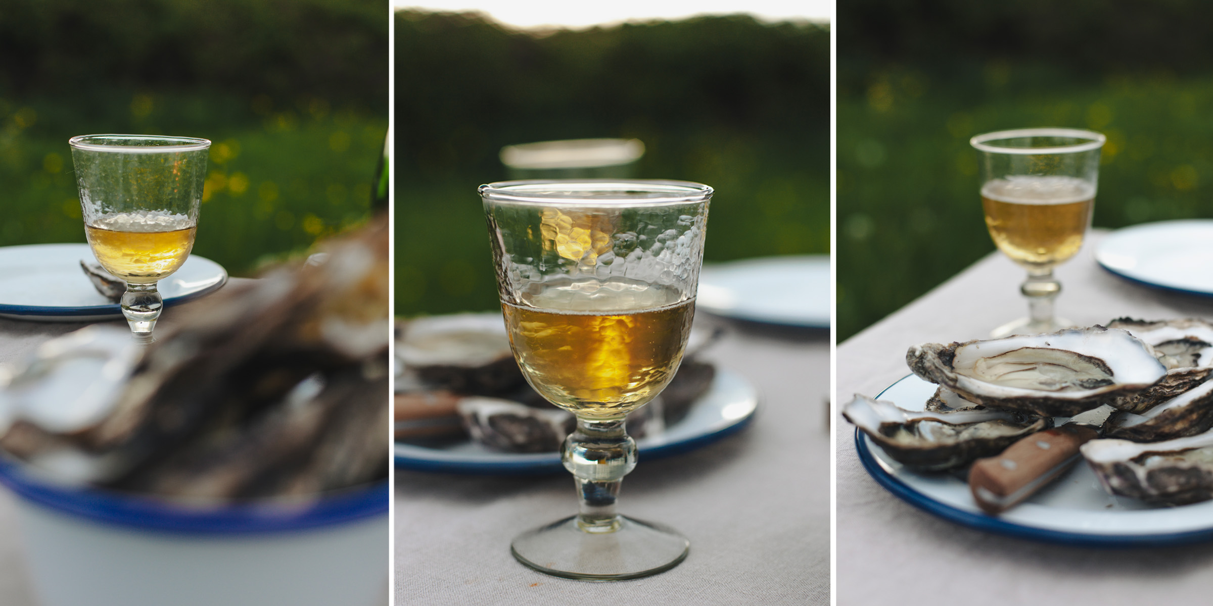 Oyster Reverie