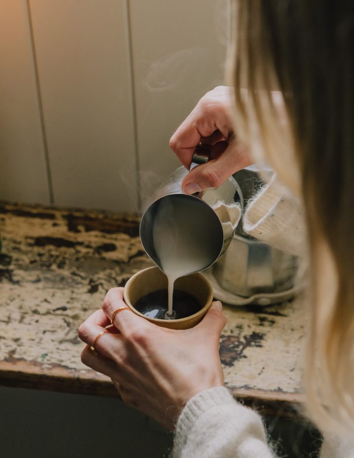Stainless Steel Milk Jug