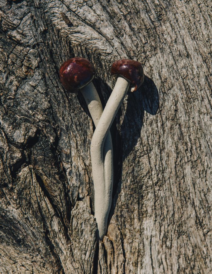 Plant Pot Ceramic Mushrooms, Ferndown Ceramics